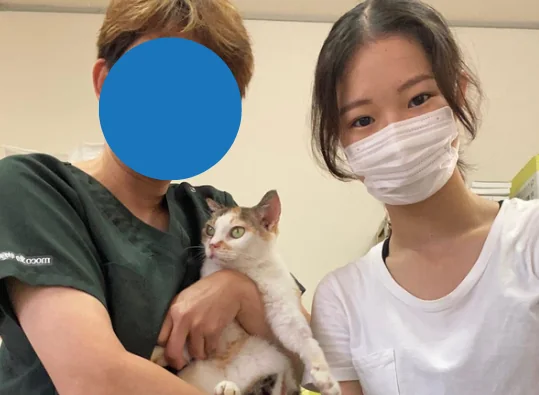 動物病院で、保護された猫を抱く獣医の方と並ぶ小峰さん